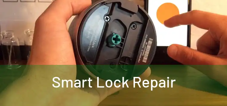 Smart Lock Repair